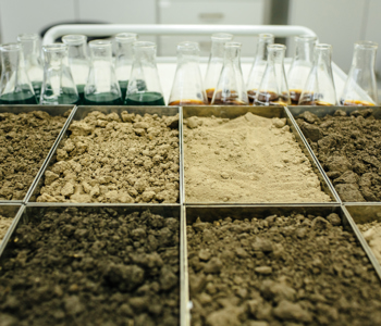 Sorting of soil testing trays Sorting of soil testing trays