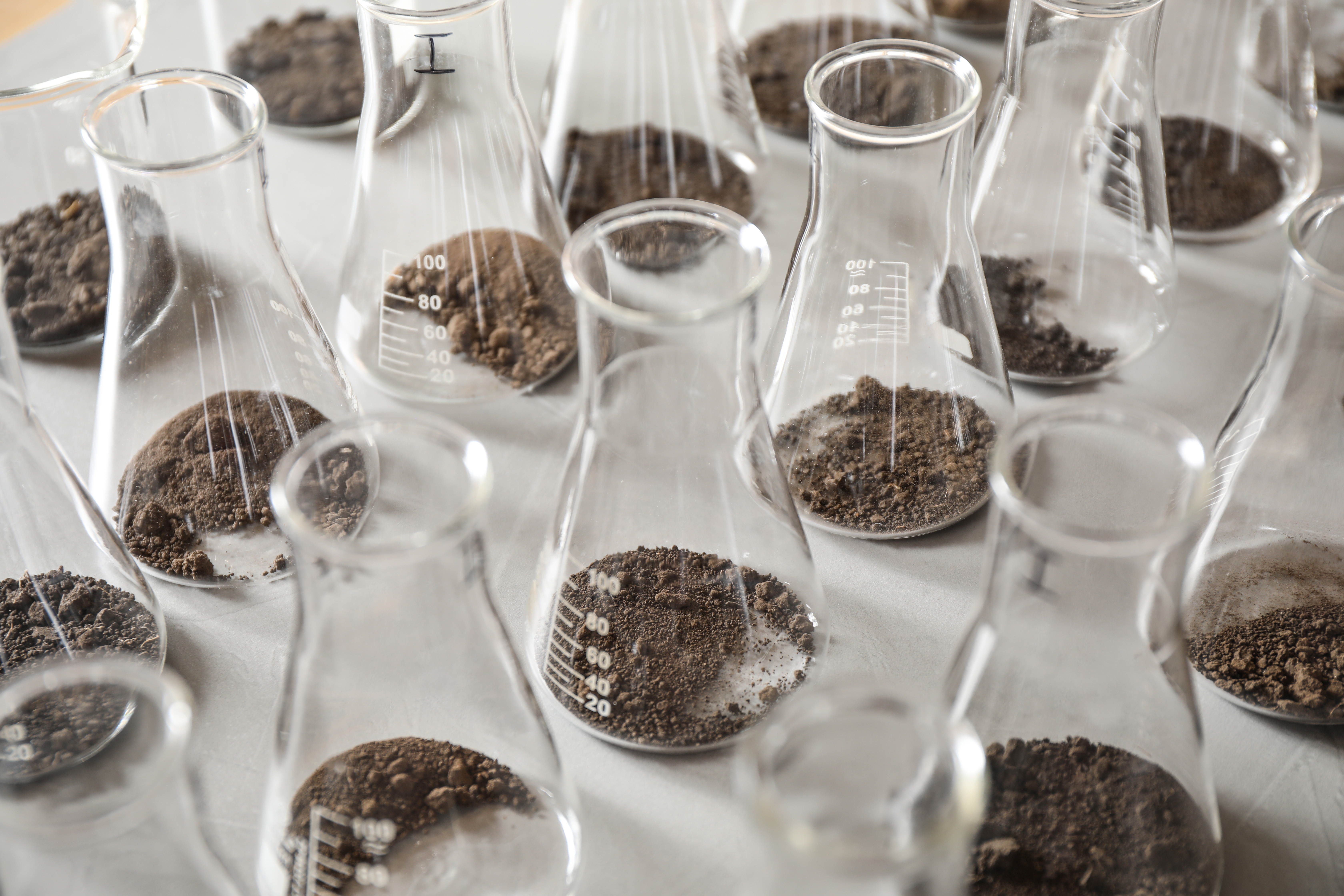 Soil testing in the lab