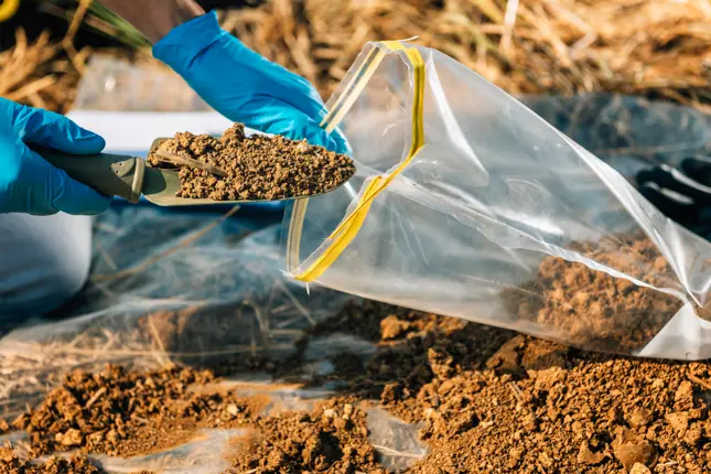 Soil Sampling Rusting GSTL | Site Services